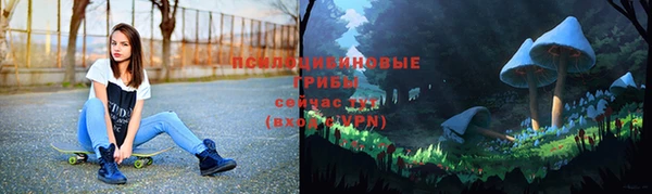 трава Абдулино