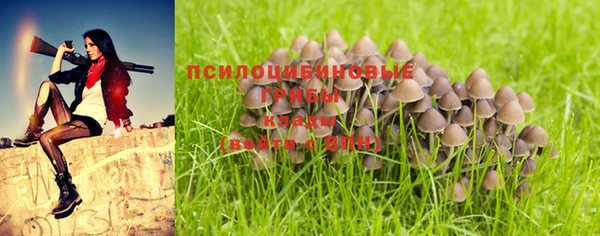 тгк Алзамай